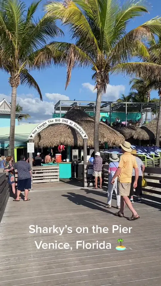 Sharky's On the Pier in Venice showing visit, waterfront dining, video by stunningsarasotahomes on TikTok