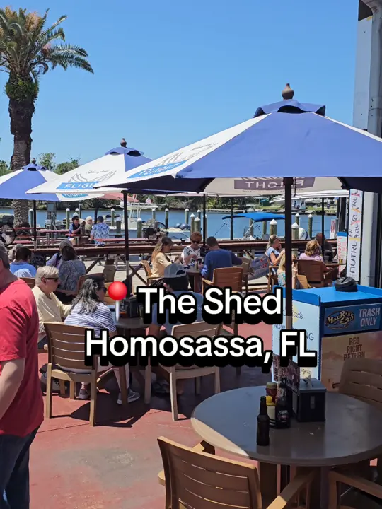 Shed in Homosassa showing review, best food, video by whatsupcentralfl on TikTok
