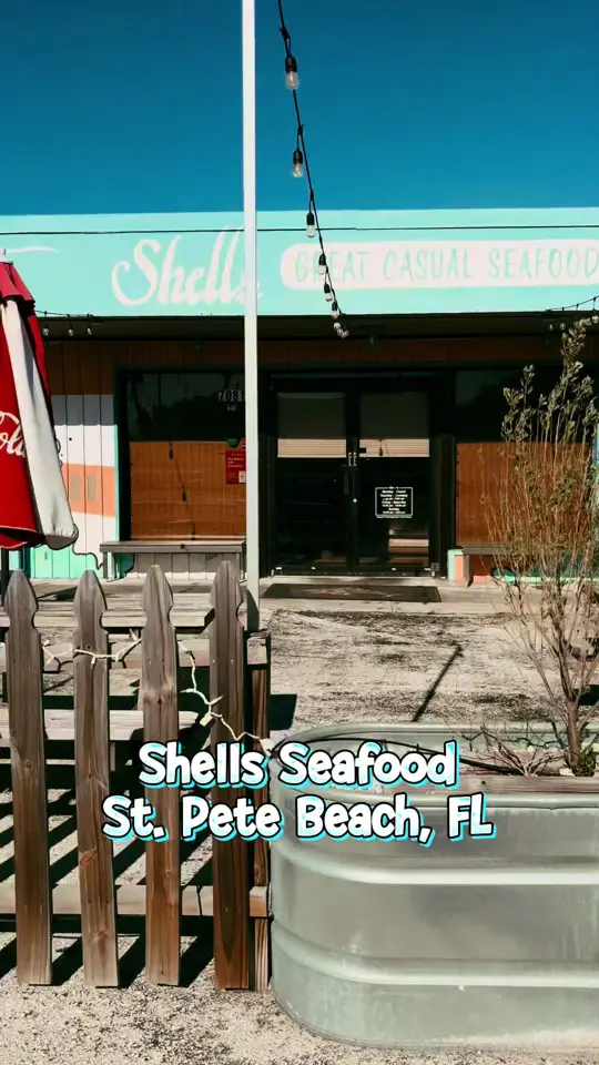 Shells Seafood - St Pete Beach in St. Pete Beach showing review, clam chowder, fried clams, shrimp and scallops pasta, fried seafood, video by yumthatgreenville on TikTok
