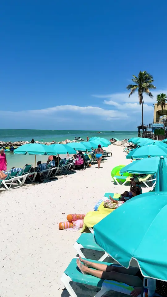Shephard's Tiki Beach Bar & Grill in Clearwater showing bar, tiki beach bar & grill, video by shephardsresort on TikTok