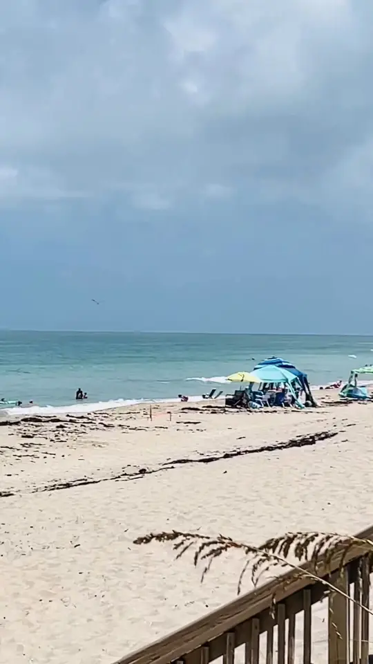 Shuckers in Jensen Beach showing beach bar, restaurant, cocktails, lunch, dinner, bathing suits, video by Hutchinson Island Florida on Facebook