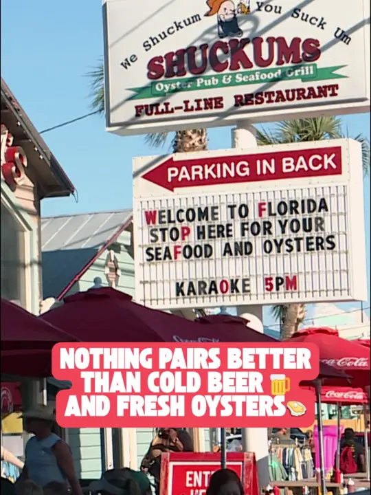 Shuckums Oyster Pub & Seafood Grill in Panama City showing food, oysters; drink, beer, video by beachtvpcb on TikTok