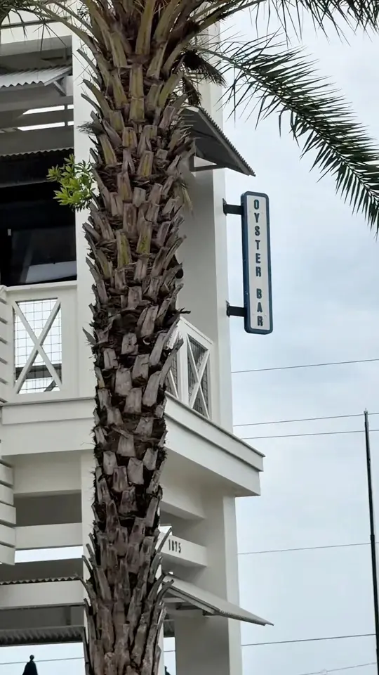 Shunk Gulley Oyster Bar in Santa Rosa Beach showing review, blackened grouper sandwich, crispy fries, video by Cameron Parker on Facebook