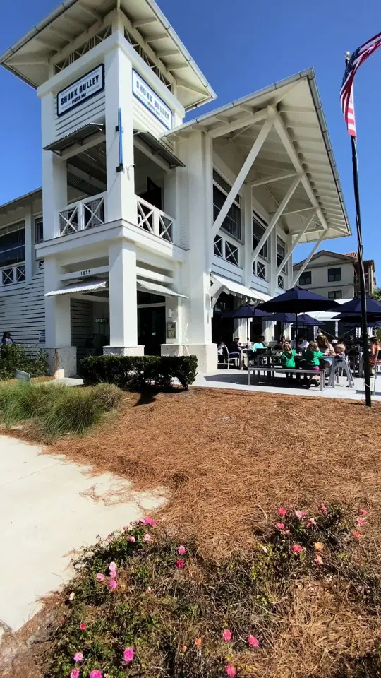 Shunk Gulley Oyster Bar in Santa Rosa Beach showing restaurant visit, coastal vibes, gulf views, video by 30abeachgirls on TikTok