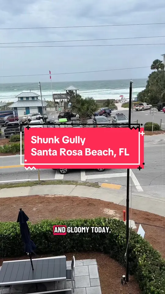 Shunk Gulley Oyster Bar in Santa Rosa Beach showing food review, blackened grouper sandwich, crispy fries, video by dadbodcooking on TikTok