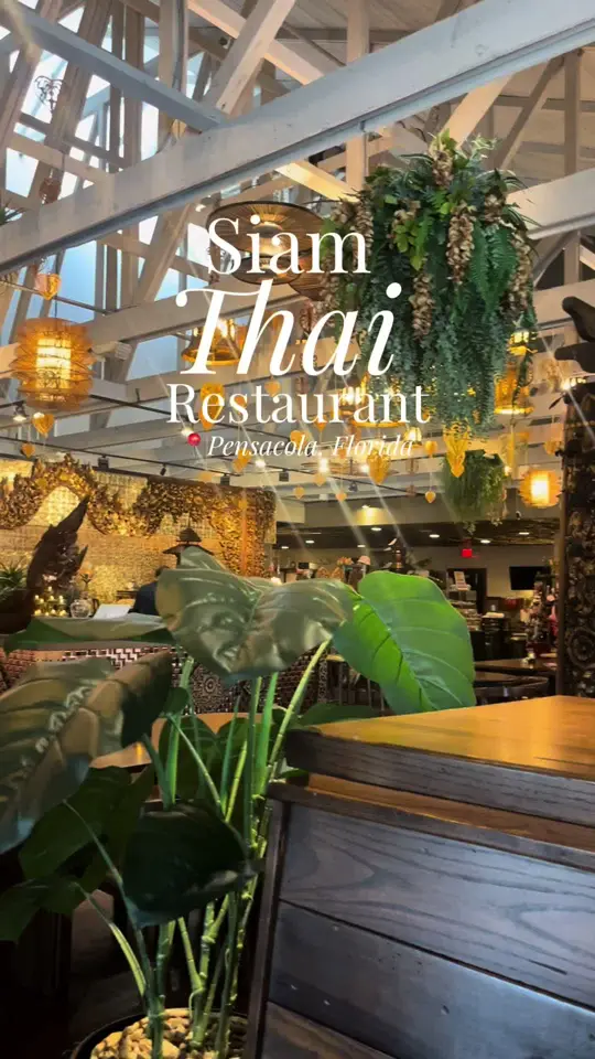 Siam Thai Restaurant in Pensacola showing restaurant visit, atmosphere, food review, video by onthegowithnic on TikTok