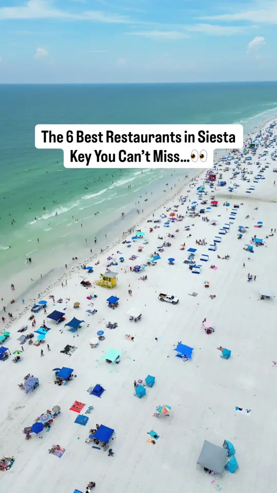 Siesta Key Oyster Bar in Sarasota showing bar, siesta key oyster bar, video by john_walberg on TikTok