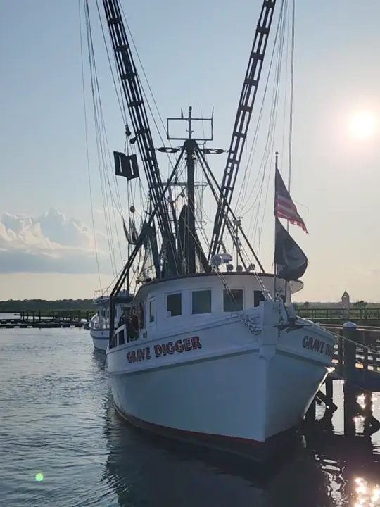 Skippers’ Fish Camp in Darien showing review, atmosphere, visit, alligator spotting, turtle watching, cat petting, video by the.savannah.lady on TikTok