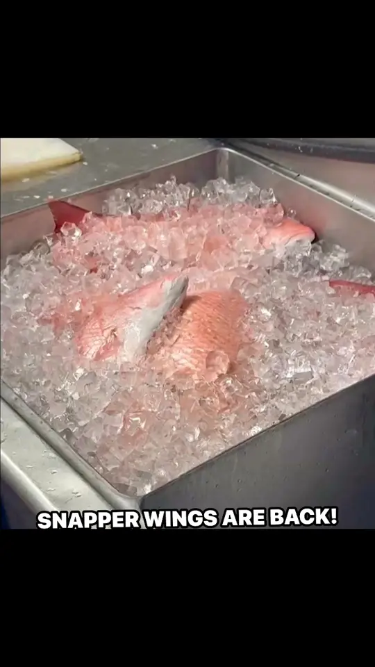 Snug Harbor Waterfront Restaurant in Fort Myers Beach showing food, snapper wings, video by Snug Harbor Restaurant on Facebook