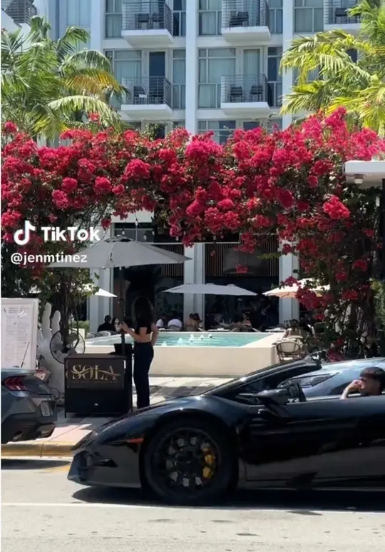 Sola Miami Beach in Miami Beach showing live dj, bottomless brunch, outdoor oasis vibe, video by sola_miami on TikTok