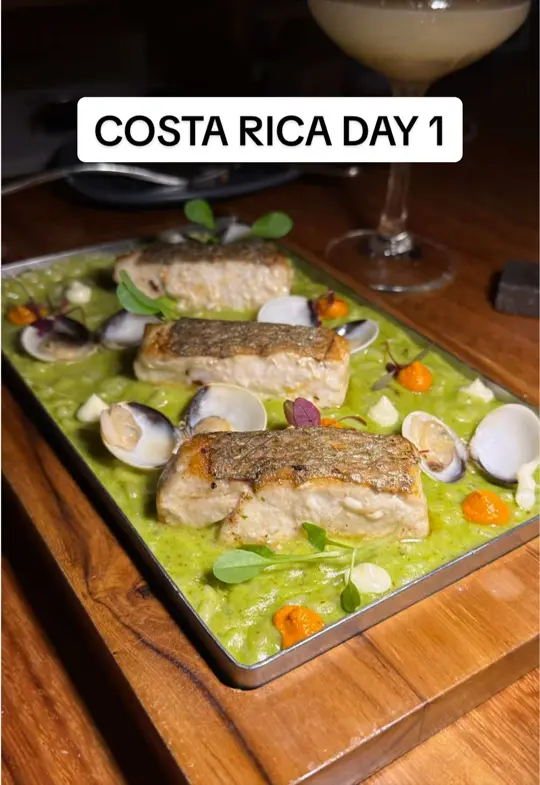 Sophie’s Cafe in Sebring showing visit, costa rica, video by sophies.munchies on TikTok