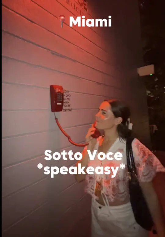SottoVoce in Miami showing wine garden, speakeasy, ambience, cheese, meat selections, dessert, wine, video by valesalami on TikTok