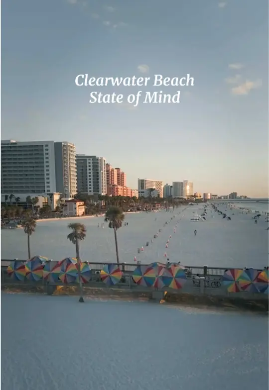 Soul Mediterranean Cuisine in Clearwater Beach showing visit, lamb skewers, video by clearwaterbeachinsider on TikTok