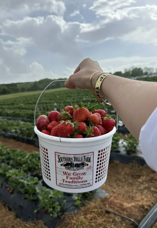 Southern Belle in Atlanta showing visit, review, strawberry picking, bakery, strawberry slushie, strawberry shortcake, video by izzygj on TikTok