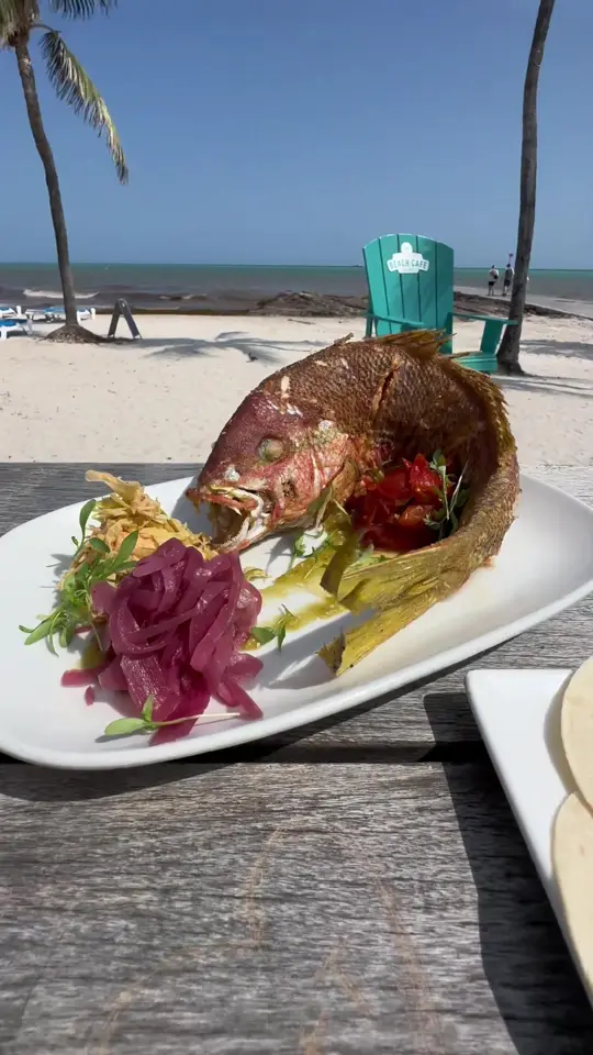 Southernmost Sandy’s Cafe in Key West showing food, fried yellowtail fish tacos, video by foodyfetish on TikTok
