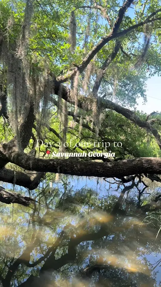 Spanky's River Street in Savannah showing dinner, dessert, video by homebody.haley on TikTok