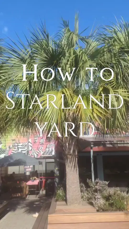 Starland Yard in Savannah showing review, pizza, mexican food, sandwiches, video by savannahmadesimple on TikTok