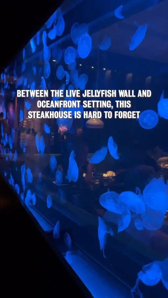 Steak 954 in Fort Lauderdale showing fine dining, steak, coastal luxury, venue visit, video by Visit Lauderdale on Facebook