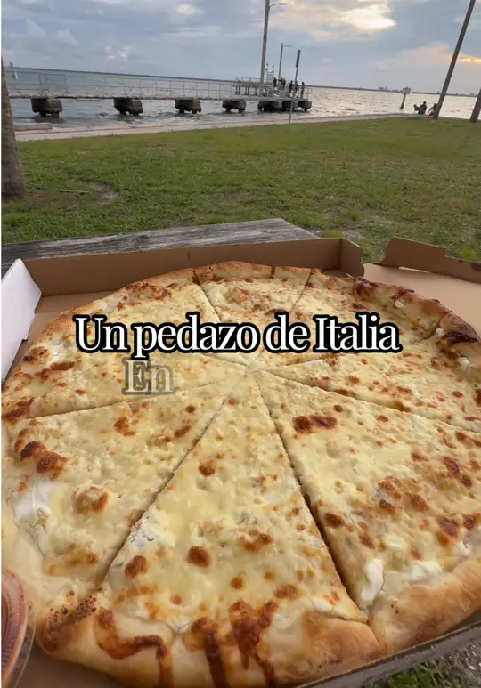 Stefano Pizza and Pasta in Tampa showing italian food, pizza, pasta, video by undiaconcamila on TikTok