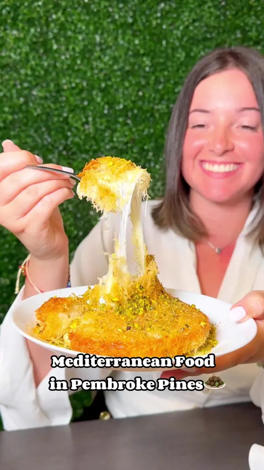Sufrat Mediterranean Grill in Pembroke Pines showing hummus, gyro, video by treatyoselfeverywhere on TikTok