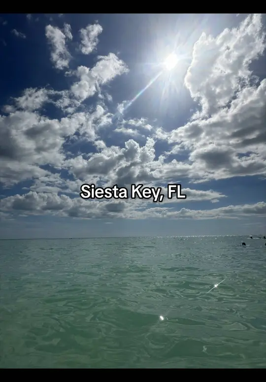  in Florida showing review, sweet potato pancakes, bacon, birria tacos, rice, video by selenaontherun on TikTok