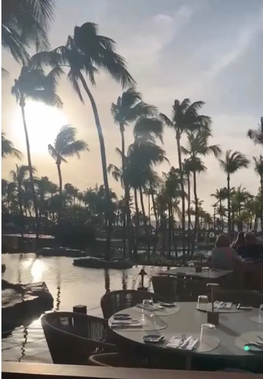 Sunset Grille on TikTok, video by ourhomeyourholiday