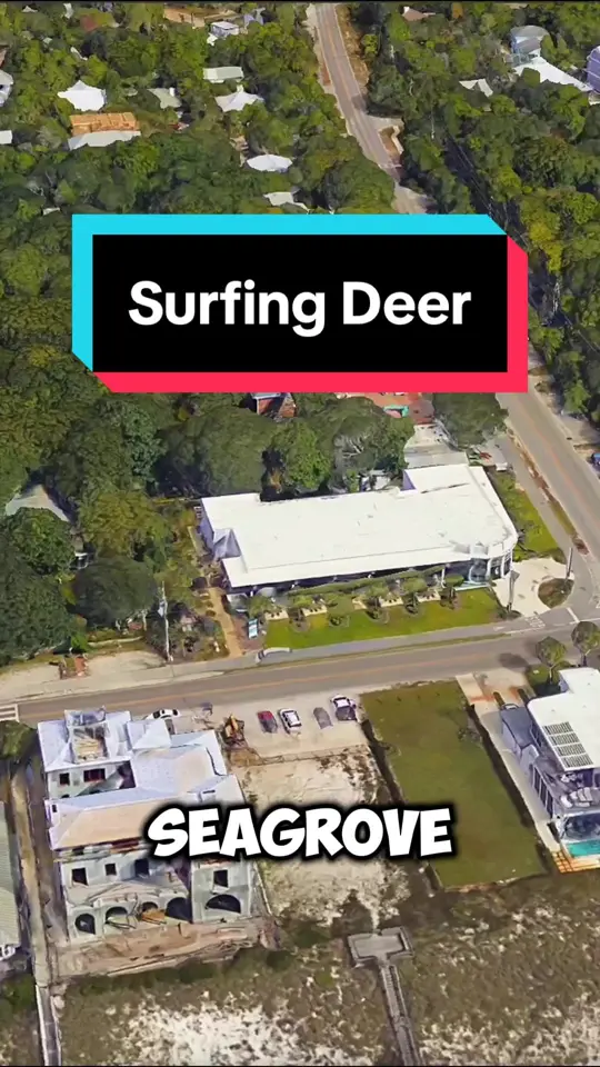  in Florida showing restaurant, visit, video by explorewithmedaily on TikTok