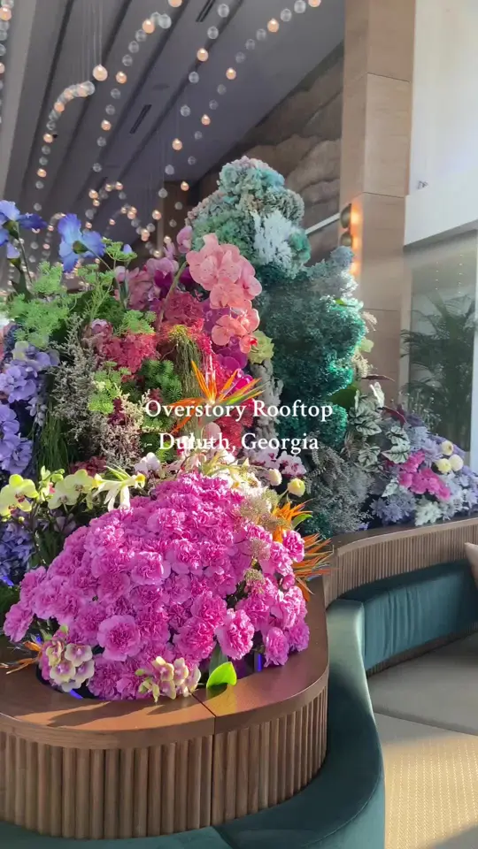 Sweetsong Kitchen & Bar in Duluth showing grand opening event, review, video by carlymorgaan on TikTok