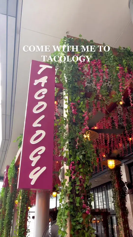 Tacology Brickell - Mexican Taqueria in Miami showing visit, mexican food, quesabirria, video by itslizbef on TikTok
