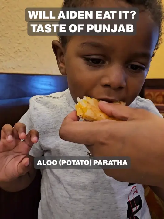 Taste Of Punjab in Kissimmee showing indian food, restaurant visit, video by familyofjordan on TikTok
