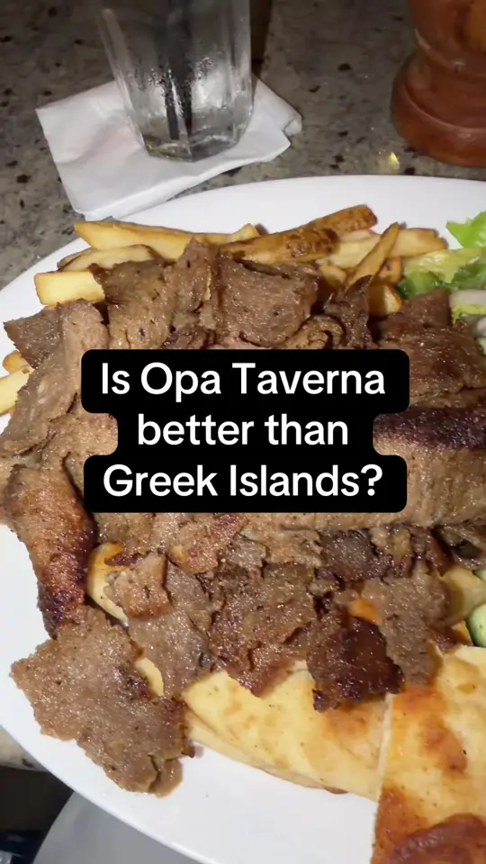  in Florida showing review, hummus, greek salad, gyros, video by thedailybitenyc on TikTok