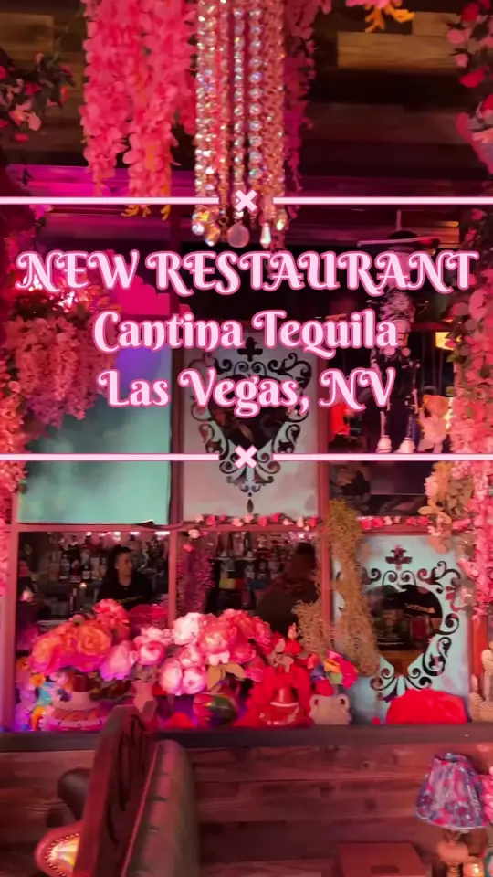 Tequila Mexican Restaurant in Dallas showing review, visit, ambiance, video by foodiedhillon on TikTok