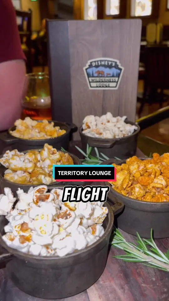 Territory Lounge in Lake Buena Vista showing bar, venue visit, video by wrightdownmainstreet on TikTok
