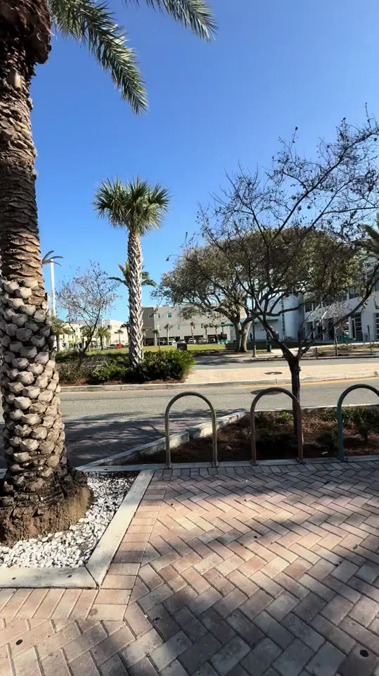 The Alibi Cocktails & Bites in Cocoa Beach showing review, visit, happy hour, outdoor patio, food, drinks, video by cuckooforcocoabeach on TikTok