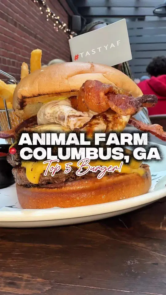 The Animal Farm in Columbus showing food, deviled eggs / food, hot pimento crab dip / food, lamb burger / food, harlow burger, video by mr.goalchaser on TikTok