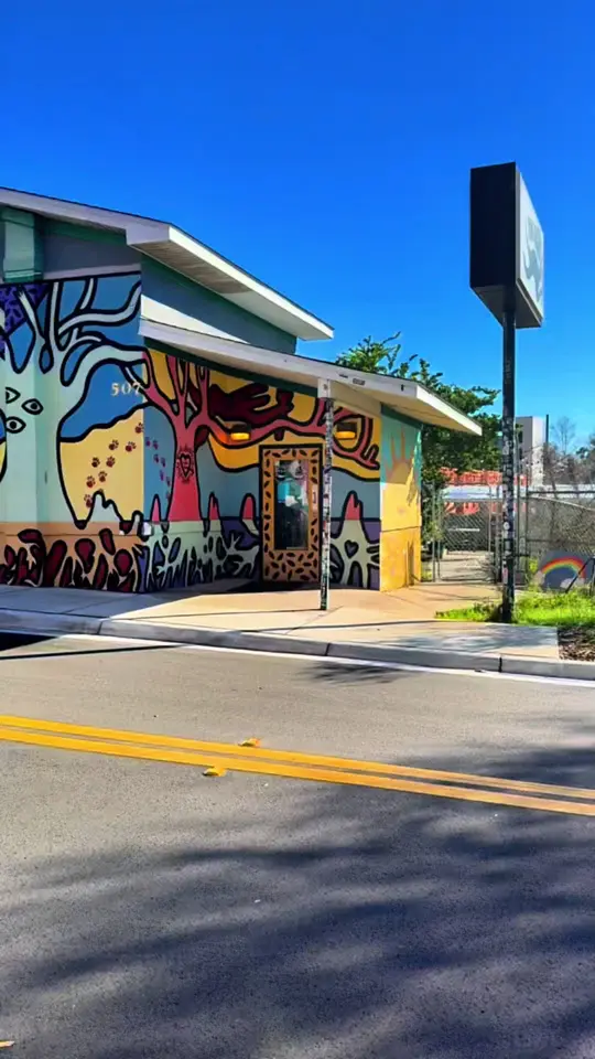 The Bark on TikTok, video by kilokikii