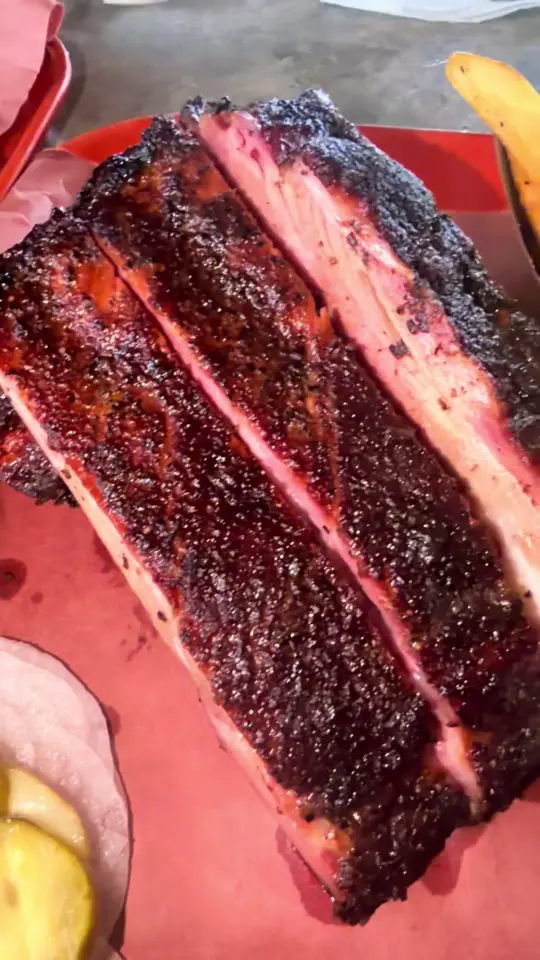 The Bearded Pig on TikTok, video by mysticnubi