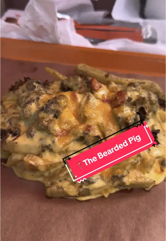 The Bearded Pig on TikTok, video by jessiejarrell_