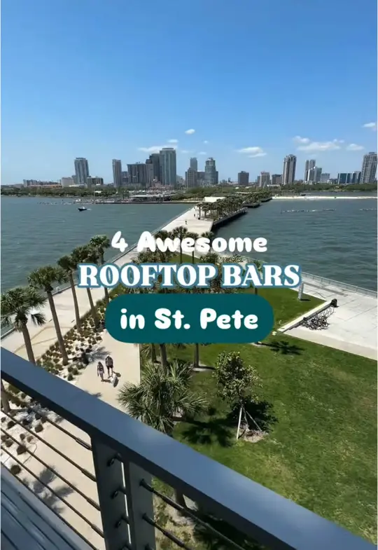 The Birchwood Canopy in St. Petersburg showing cocktail, frose / atmosphere, cozy cabanas / event, ladies night, video by sunkissedinstpete on TikTok