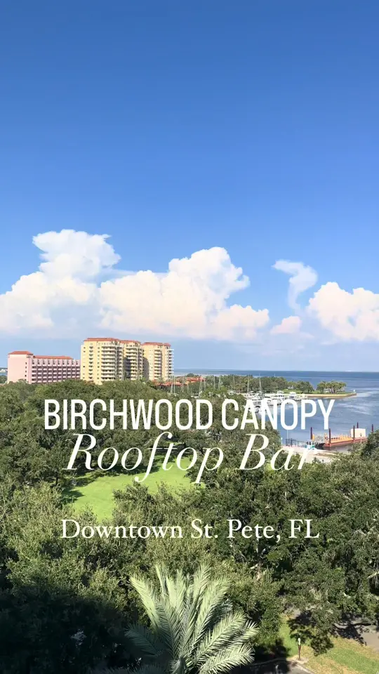 The Birchwood Canopy in St. Petersburg showing cocktail, small bites, video by thingstodotampabay on TikTok