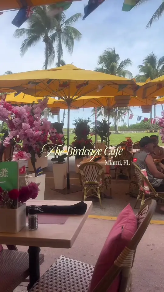 The Birdcage Cafe in Miami Beach showing food, great food, video by xo.dru on TikTok