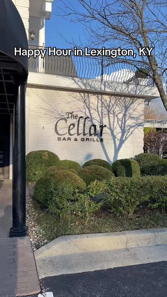 The Cellar Grille and Wine Bar in Sebring showing happy hour, bar atmosphere, video by sarah.rowe88 on TikTok