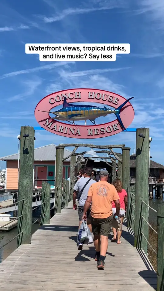  in Florida showing review, visit, atmosphere, live music, waterfront view, video by thefloridainsider on TikTok