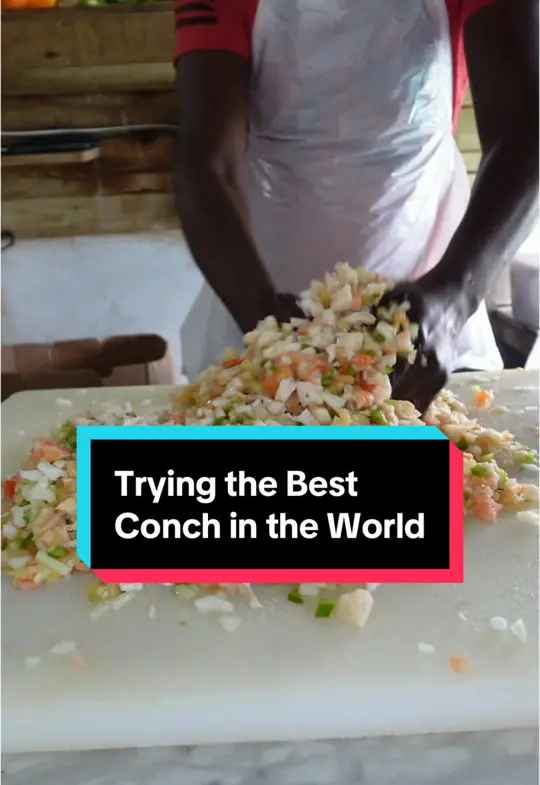 The Conch Shack in Key West showing review, conch salad, video by consumingcouple on TikTok