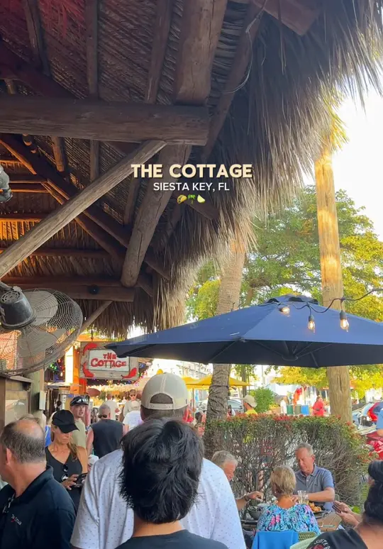The Cottage in Sarasota showing review, visit, video by bethanylearmont on TikTok