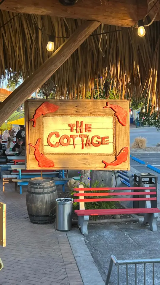 The Cottage in Sarasota showing food, billionare burger, food, lobster sushi roll, food, grilled salmon on purple rice, drink, pain killer, video by Samantha Cantrell on Facebook