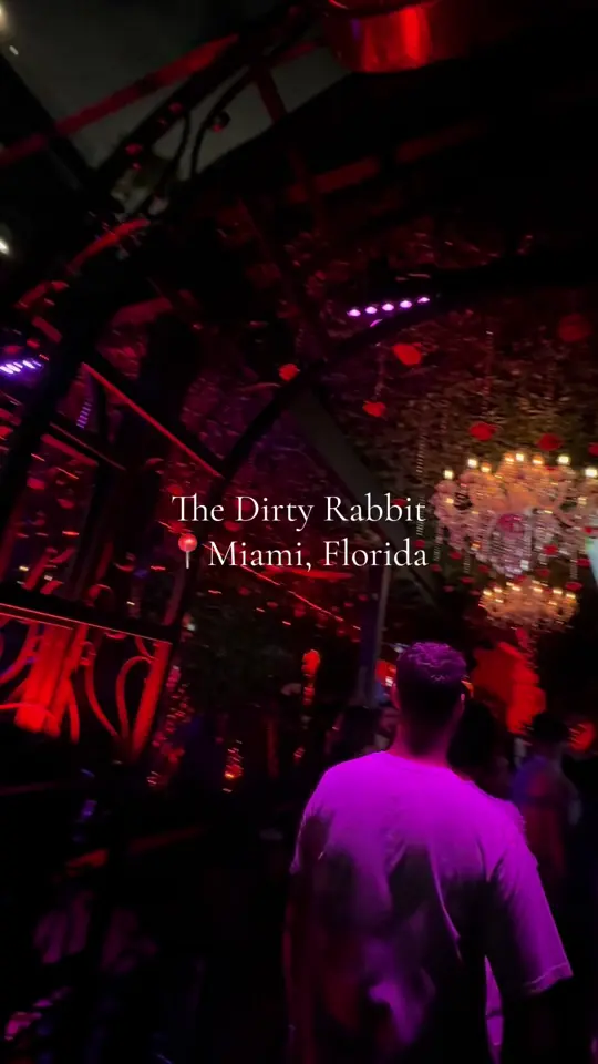 The Dirty Rabbit in Miami showing clubbing, nightlife, venue visit, video by _qvvv on TikTok