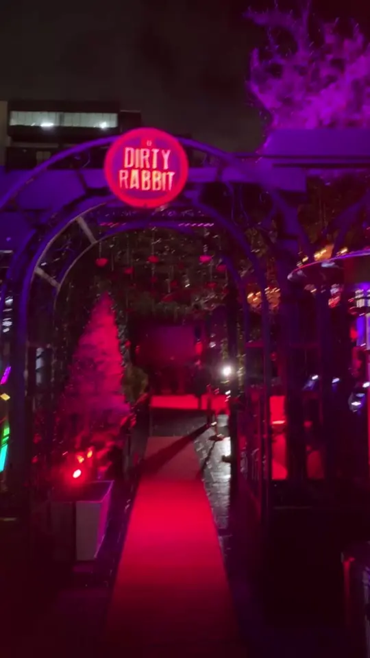 The Dirty Rabbit in Miami showing atmosphere, photo ops, video by thedirtyrabbitmiami on TikTok
