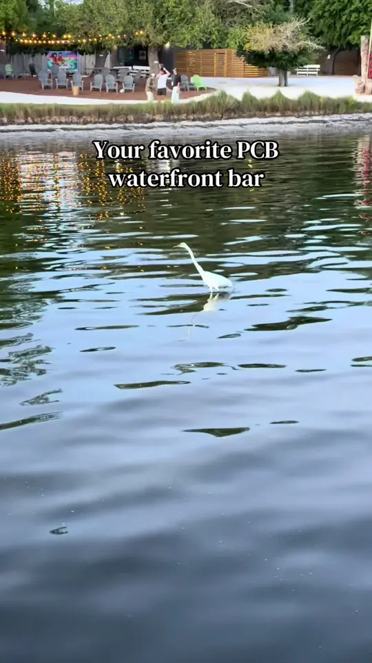 The Dock Pcb in Panama City Beach showing live music, waterfront sunsets, ice-cold drinks, relaxed atmosphere, dinner, squared grouper food truck, video by thedockpcb on TikTok