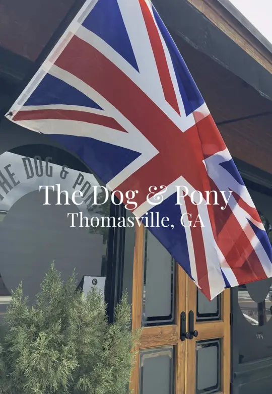 The Dog & Pony in Thomasville showing food, oxford chicken skewers, atmosphere, pub, video by brookelyndiscoveries on TikTok